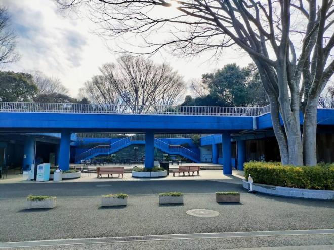 展望デッキ